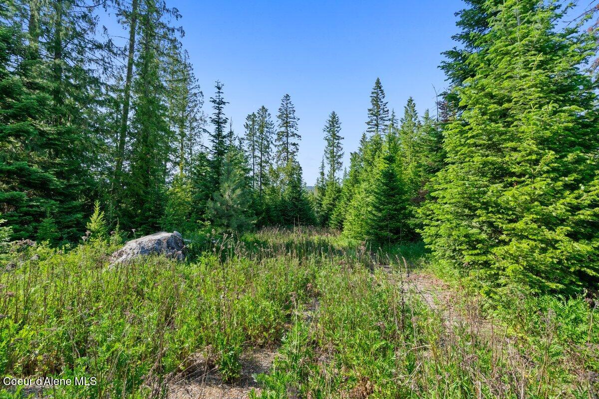 929 Irish Road Sagle, ID 83860 - Photo 54 of 70 Views 2 (1)