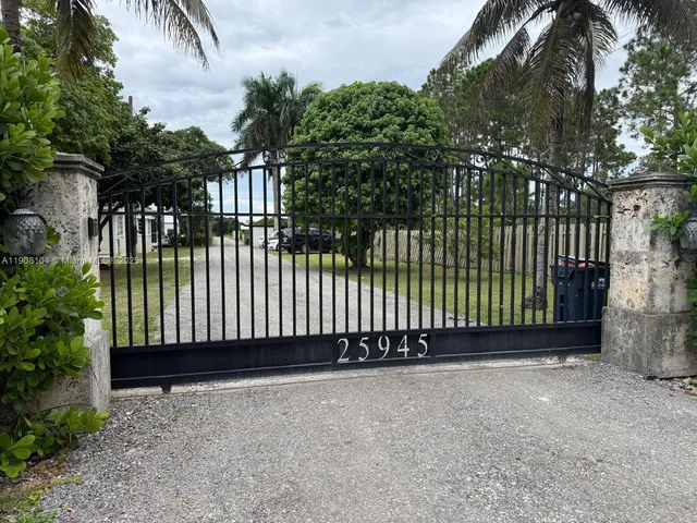 a view of a yard with palm trees