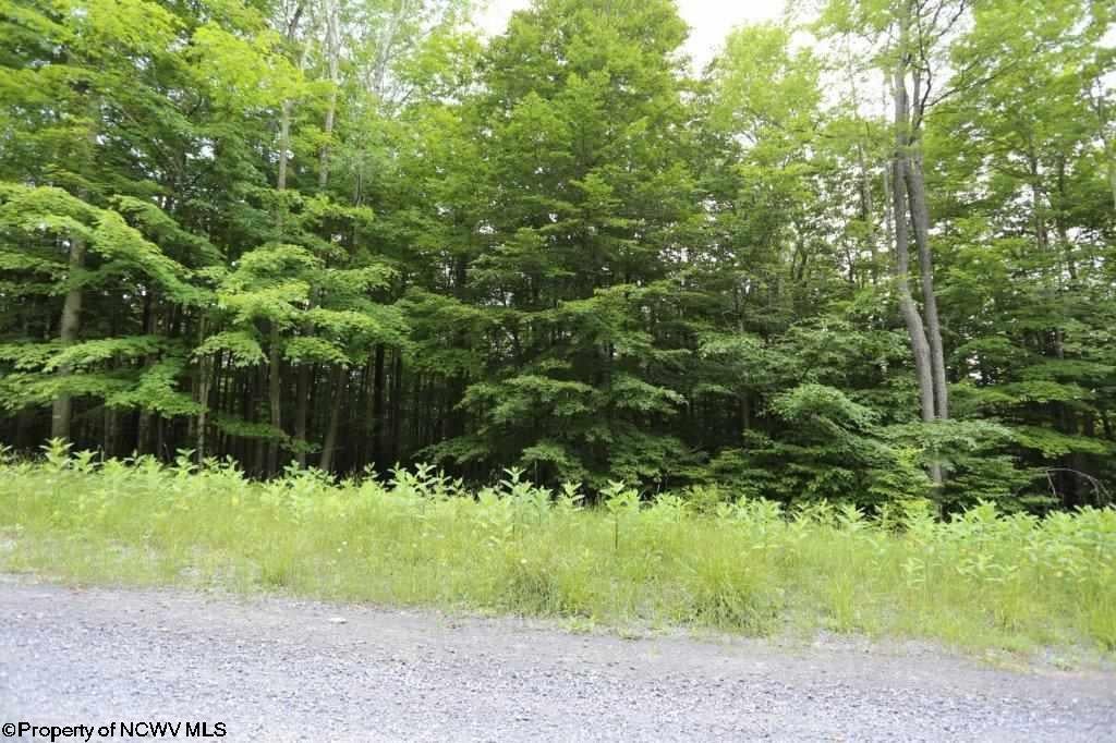 188 Cabin Mountain Road Davis, WV 26260 - Photo 9 of 15 Gallery Image 9