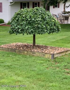 534 Sandt Road Pen Argyl, PA 18072 - Photo 76 of 77 IMG_3016