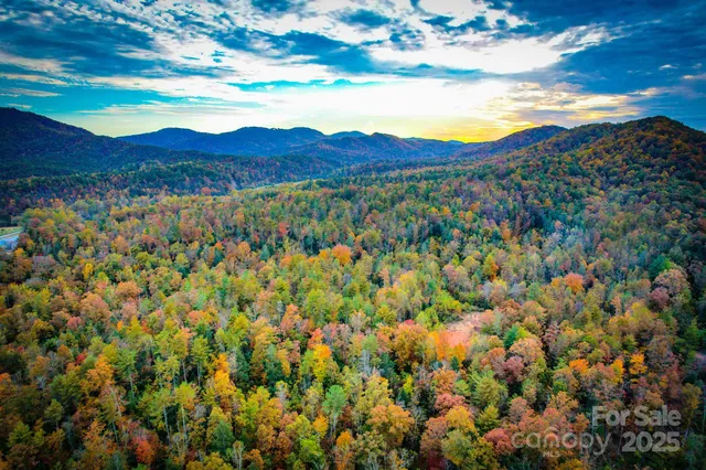 a view of a mountain in the distance in a field