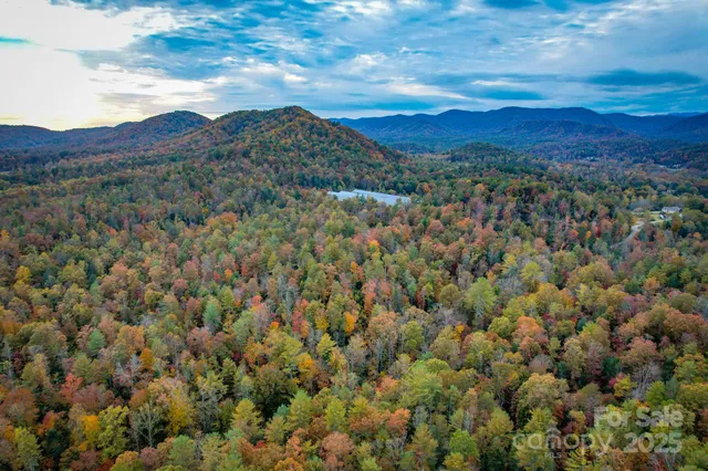 a view of a lush green hillside and a mountain