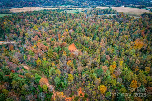 a view of a street with a tree
