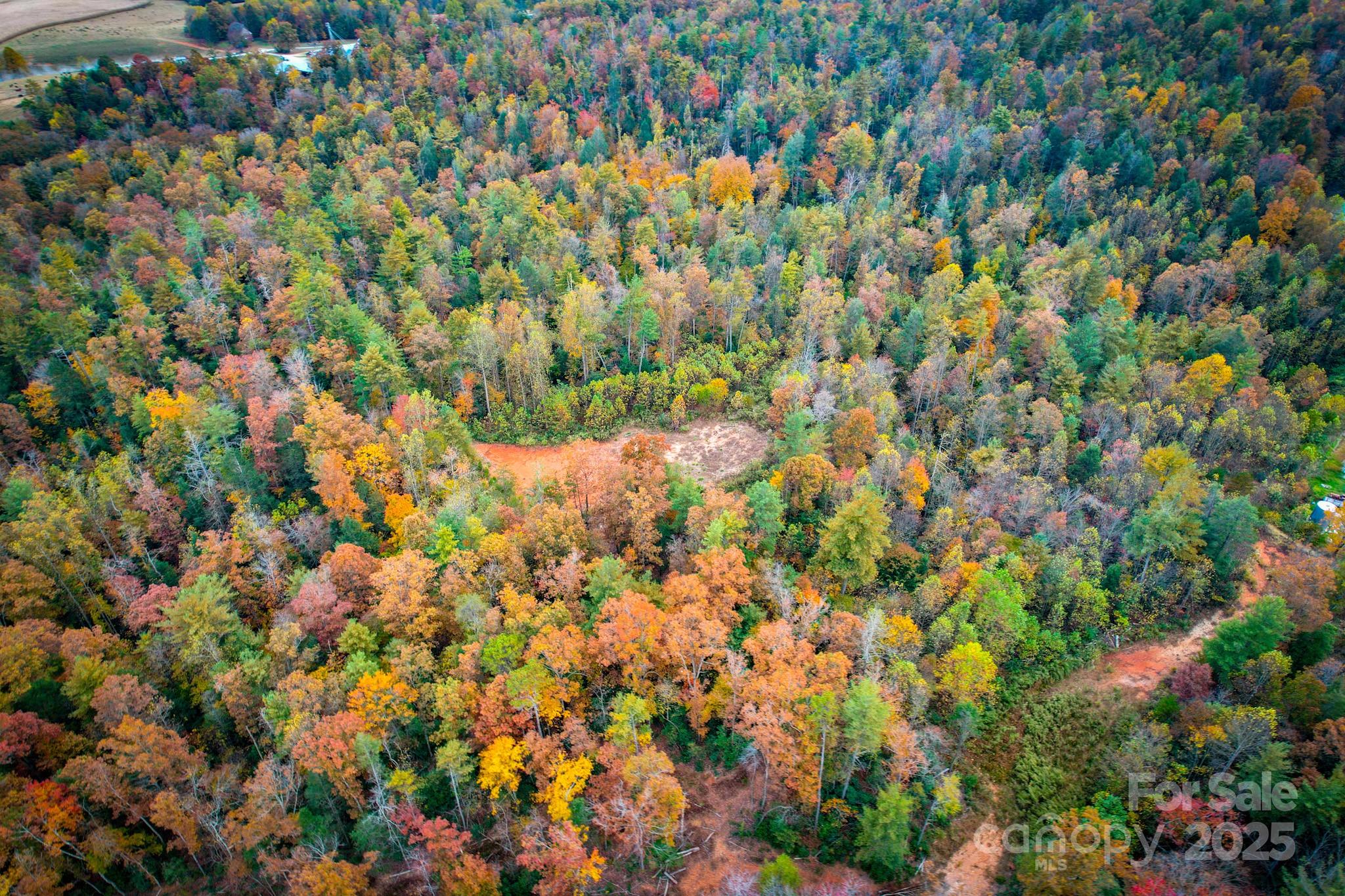 0 Grandin Road, Unit 1 Lenoir, NC 28645 - Photo 6 of 14 a view of a tree with a tree