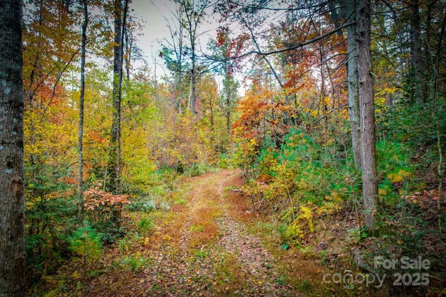 a view of residential houses with yard