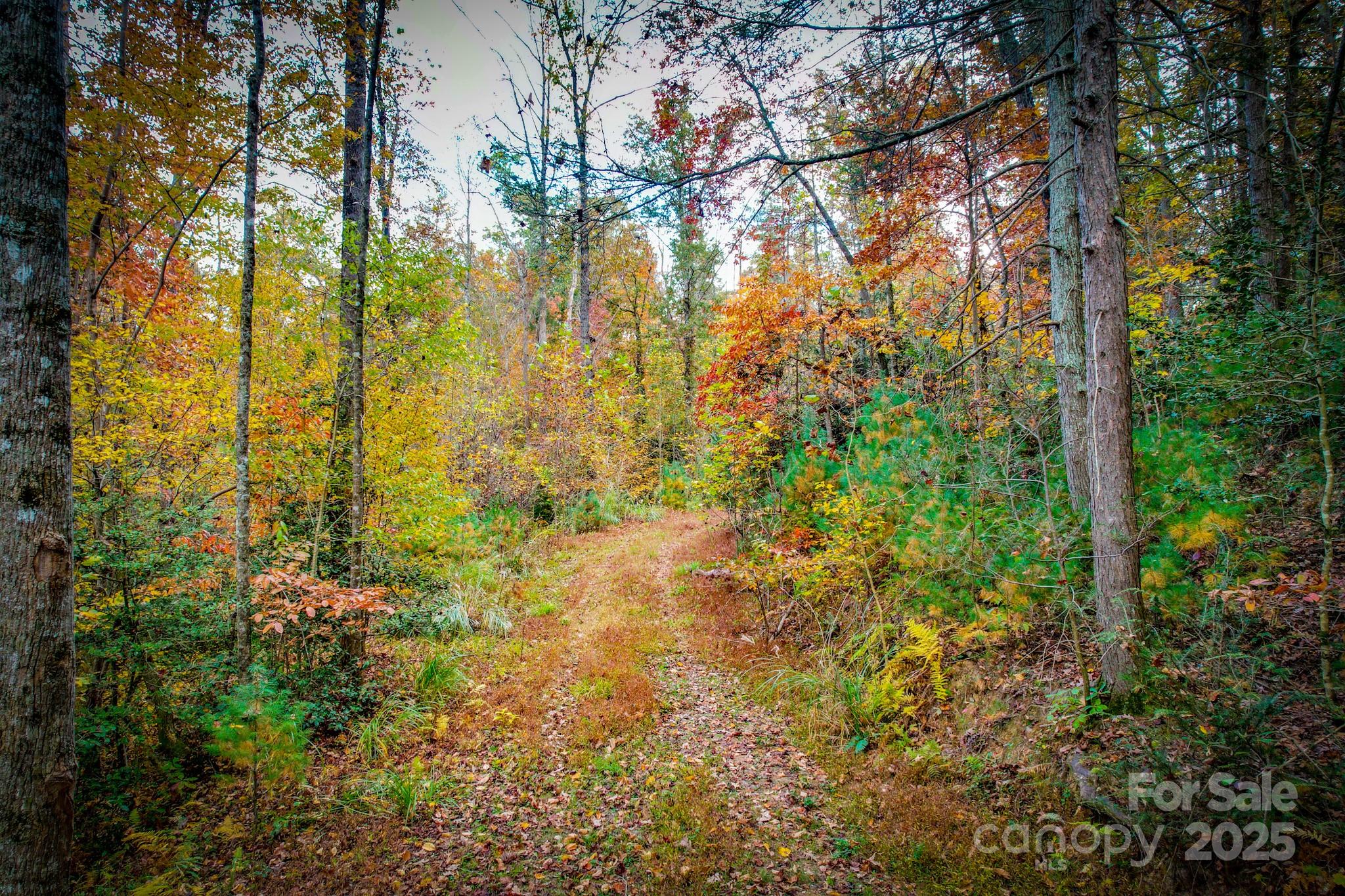 0 Grandin Road, Unit 1 Lenoir, NC 28645 - Photo 9 of 14