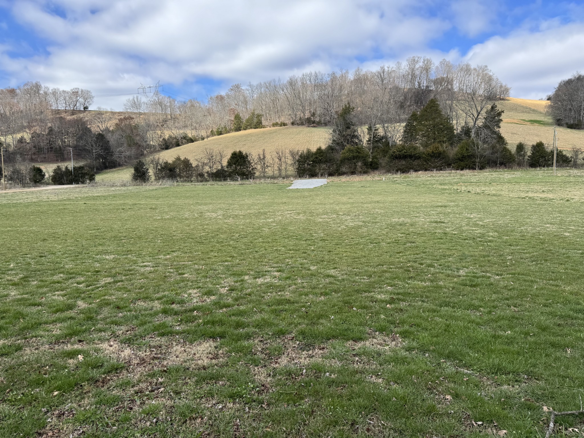 386 Cathcart Road Frankewing, TN 38459 - Photo 13 of 15 a view of a field with an trees