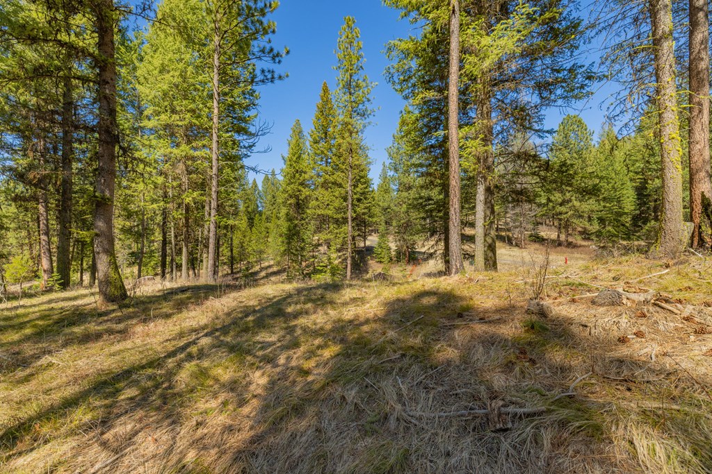 9 Collins Court, Unit 2 McCall, ID 83638 - Photo 11 of 33