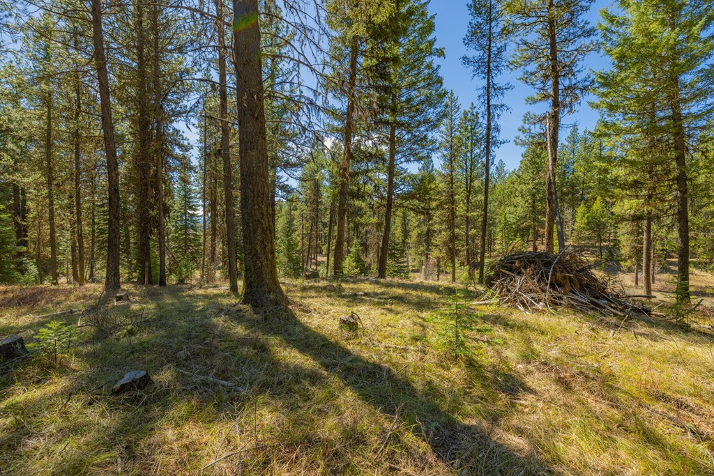 9 Collins Court, Unit 2 McCall, ID 83638 - Photo 12 of 33