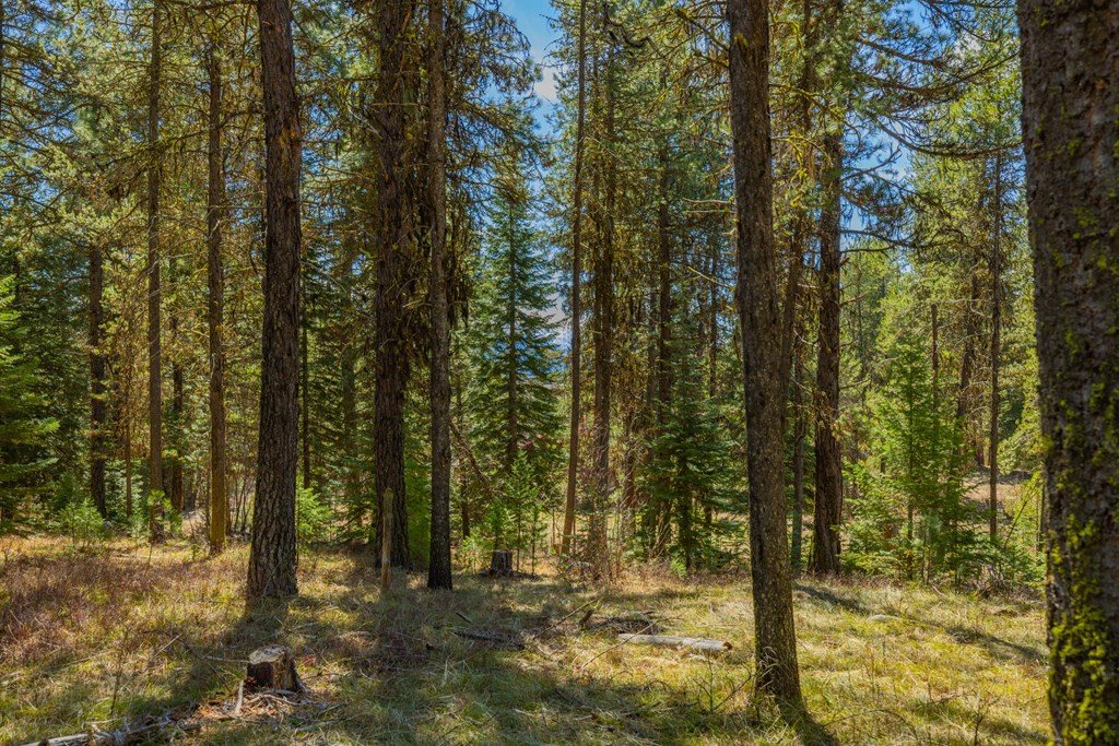 9 Collins Court, Unit 2 McCall, ID 83638 - Photo 13 of 33