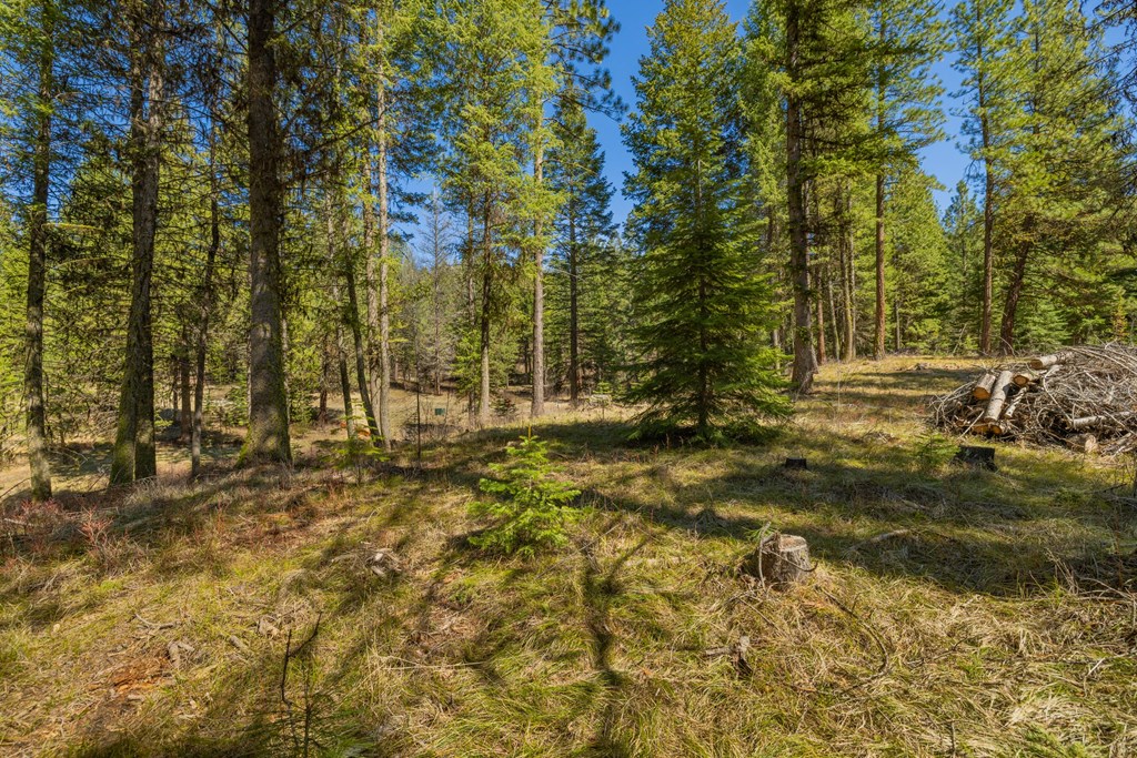 9 Collins Court, Unit 2 McCall, ID 83638 - Photo 14 of 33