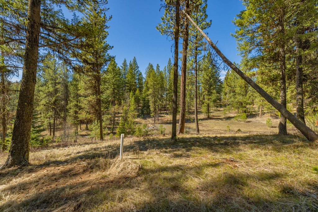 9 Collins Court, Unit 2 McCall, ID 83638 - Photo 15 of 33
