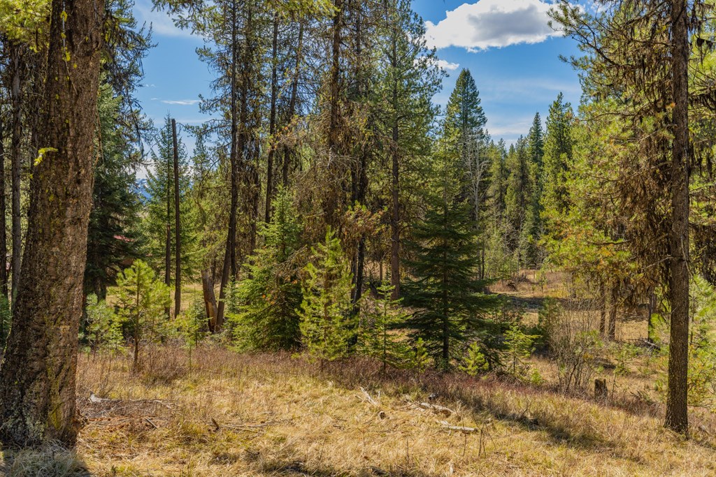 9 Collins Court, Unit 2 McCall, ID 83638 - Photo 16 of 33