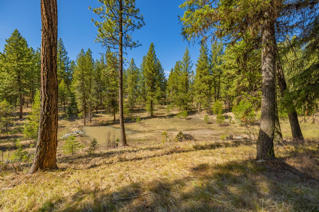 9 Collins Court, Unit 2 McCall, ID 83638 - Photo 17 of 33