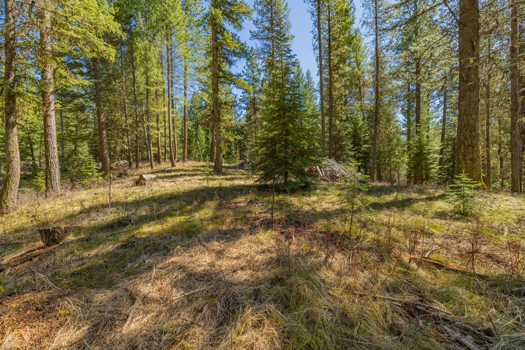 9 Collins Court, Unit 2 McCall, ID 83638 - Photo 19 of 33