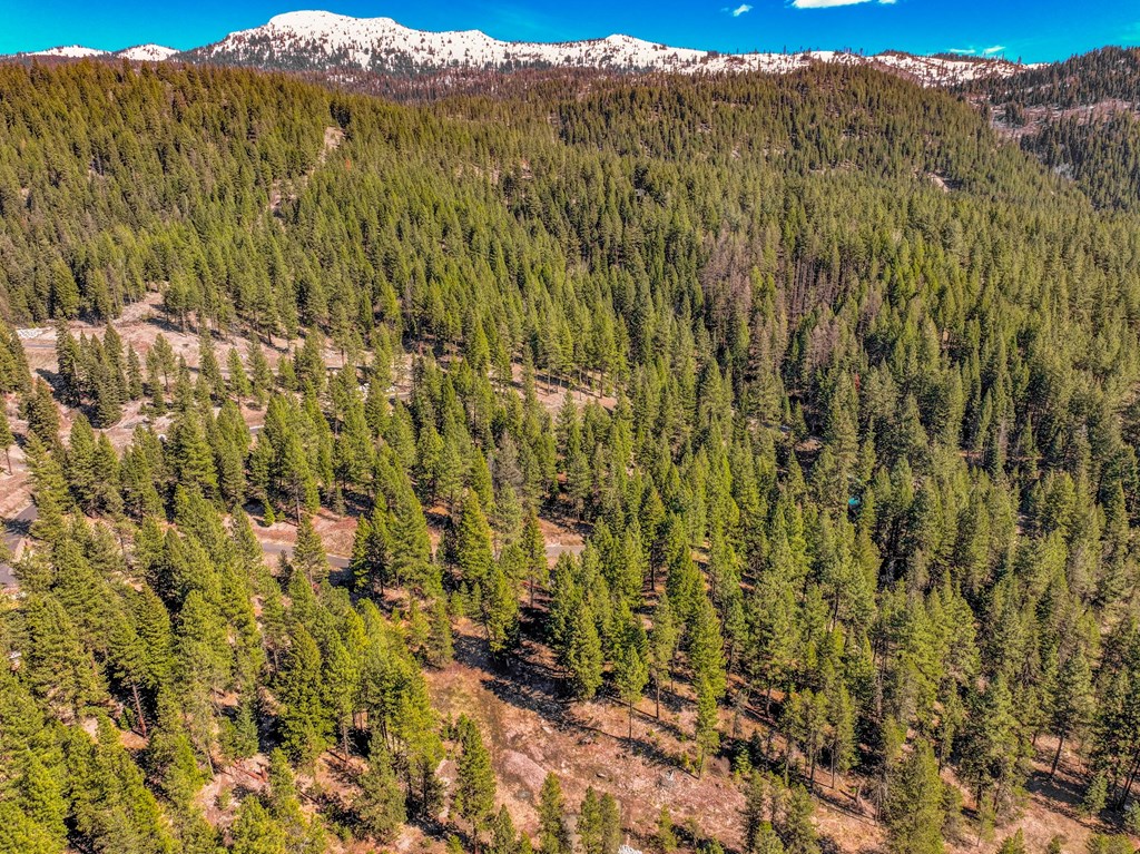 9 Collins Court, Unit 2 McCall, ID 83638 - Photo 24 of 33