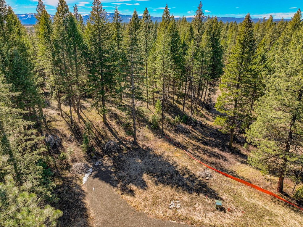 9 Collins Court, Unit 2 McCall, ID 83638 - Photo 3 of 33
