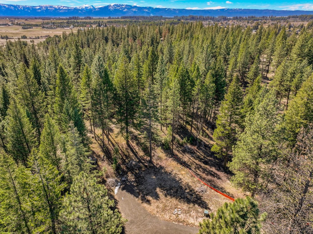 9 Collins Court, Unit 2 McCall, ID 83638 - Photo 4 of 33