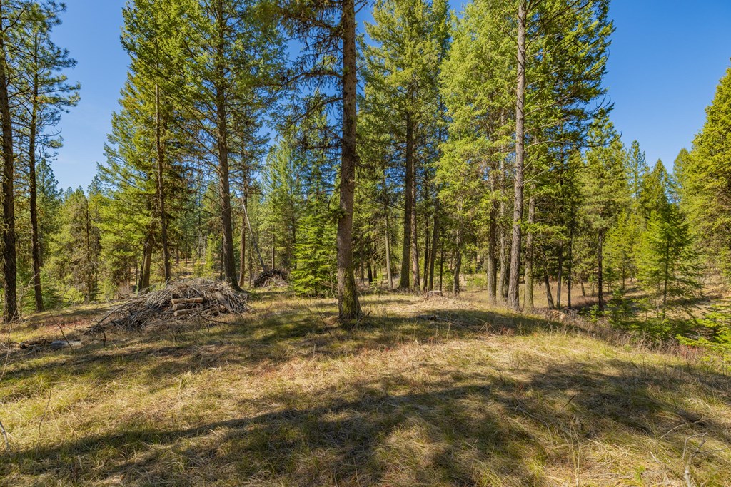 9 Collins Court, Unit 2 McCall, ID 83638 - Photo 10 of 33