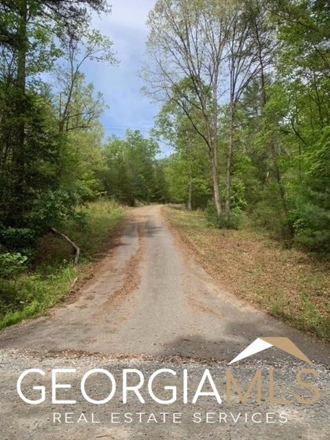 0 Jonica Gap Road Morganton, GA 30560 - Photo 1 of 1 Gallery Image 1