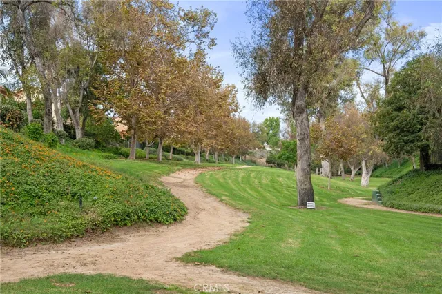 a view of a park with large trees