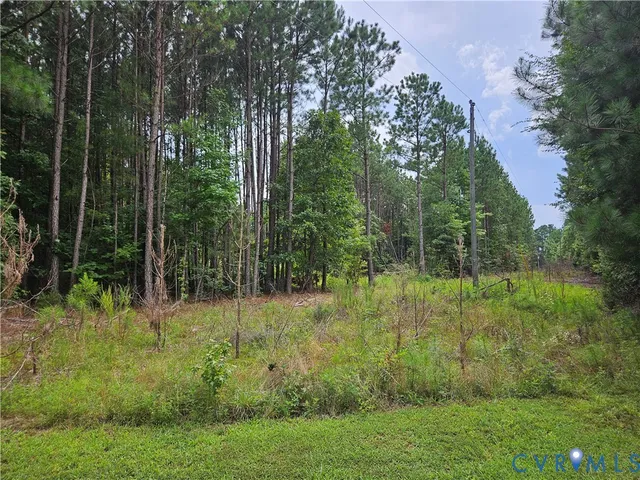 $31,000 | 154 King Bee Trail, Brodnax, VA 23920