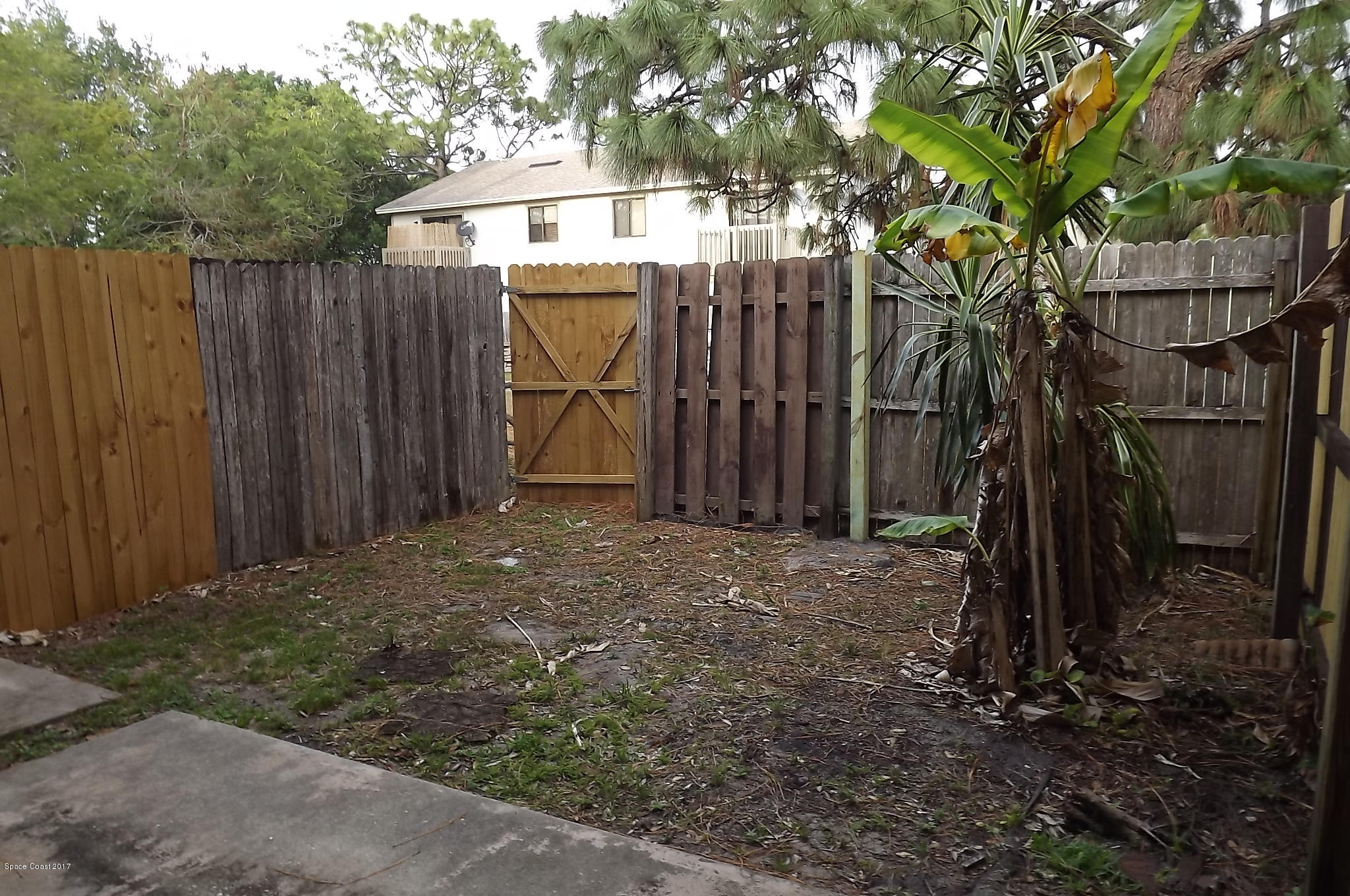 3815 Tree Ridge Lane Northeast Palm Bay, FL 32905 - Photo 3 of 12 3815 Tree Ridge Ln - Back Yard