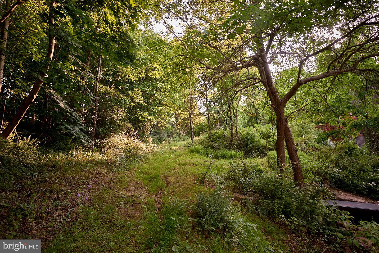 1321 Wyomissing Road Mohnton, PA 19540 - Photo 28 of 30 a view of a large yard with lots of bushes