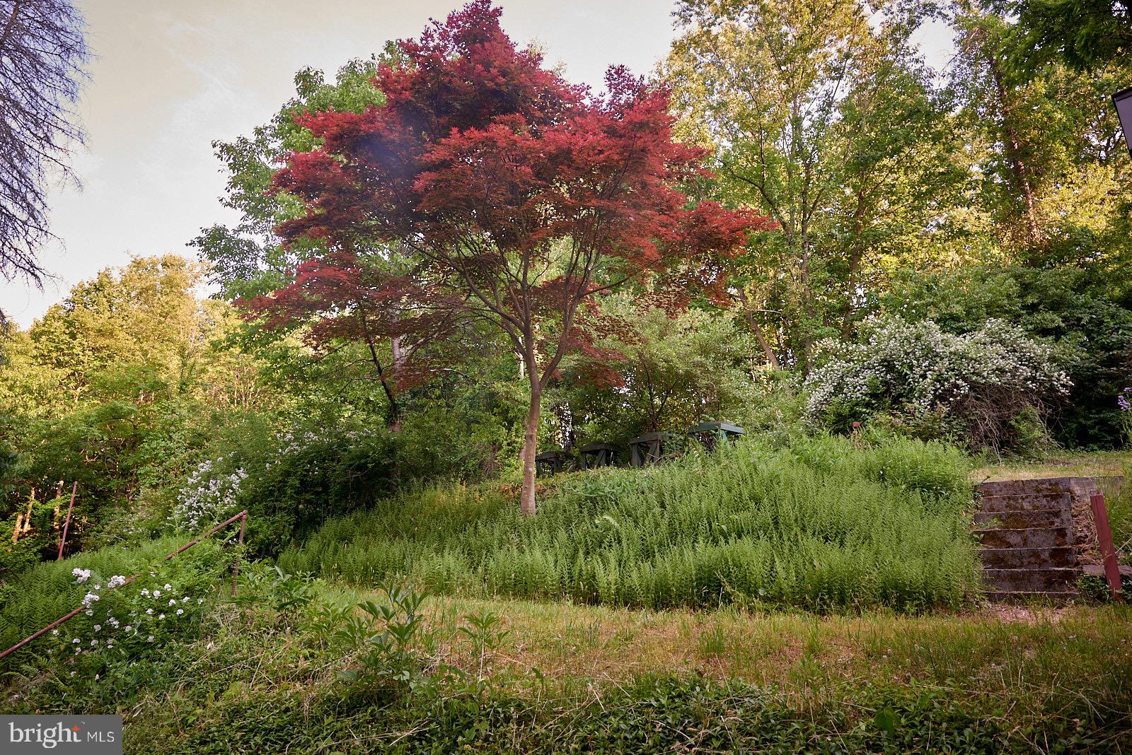 1321 Wyomissing Road Mohnton, PA 19540 - Photo 29 of 30 a view of a lush green forest