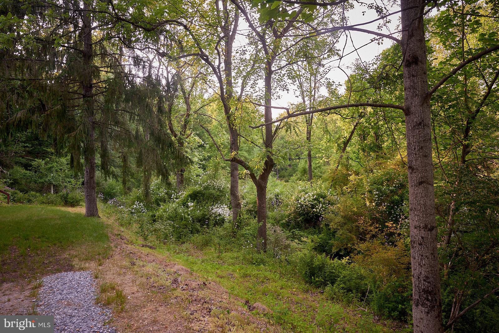 1321 Wyomissing Road Mohnton, PA 19540 - Photo 30 of 30 a view of a yard with a tree