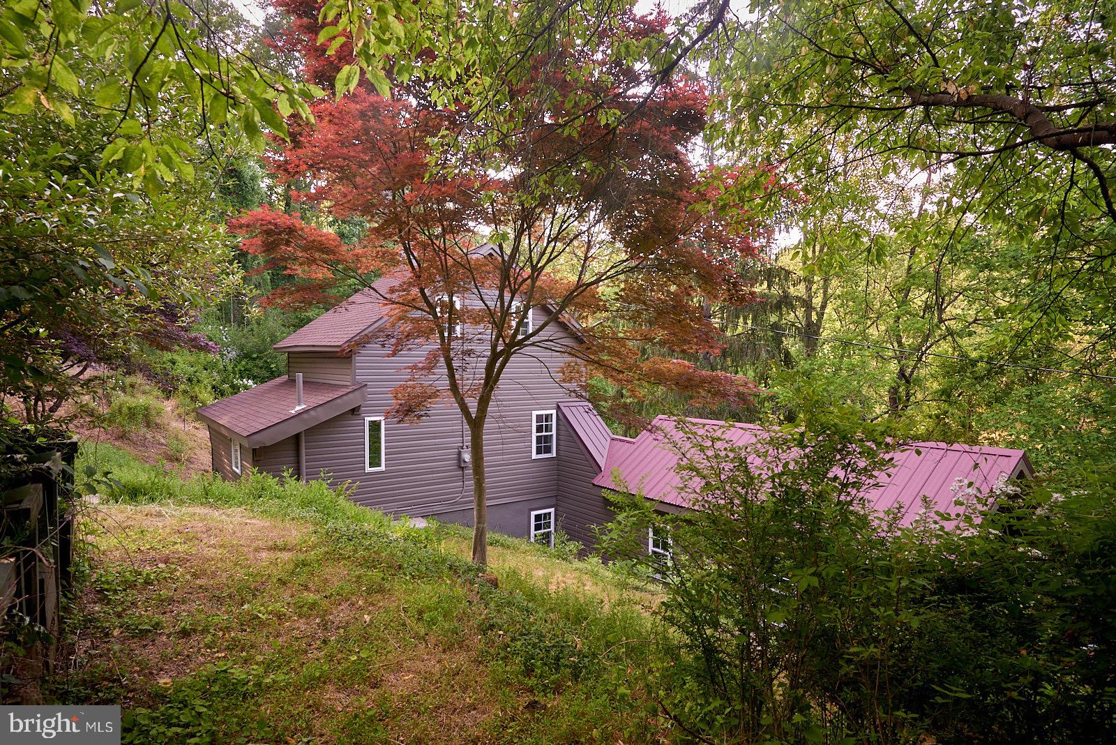 1321 Wyomissing Road Mohnton, PA 19540 - Photo 10 of 30 a large tree in front of a house