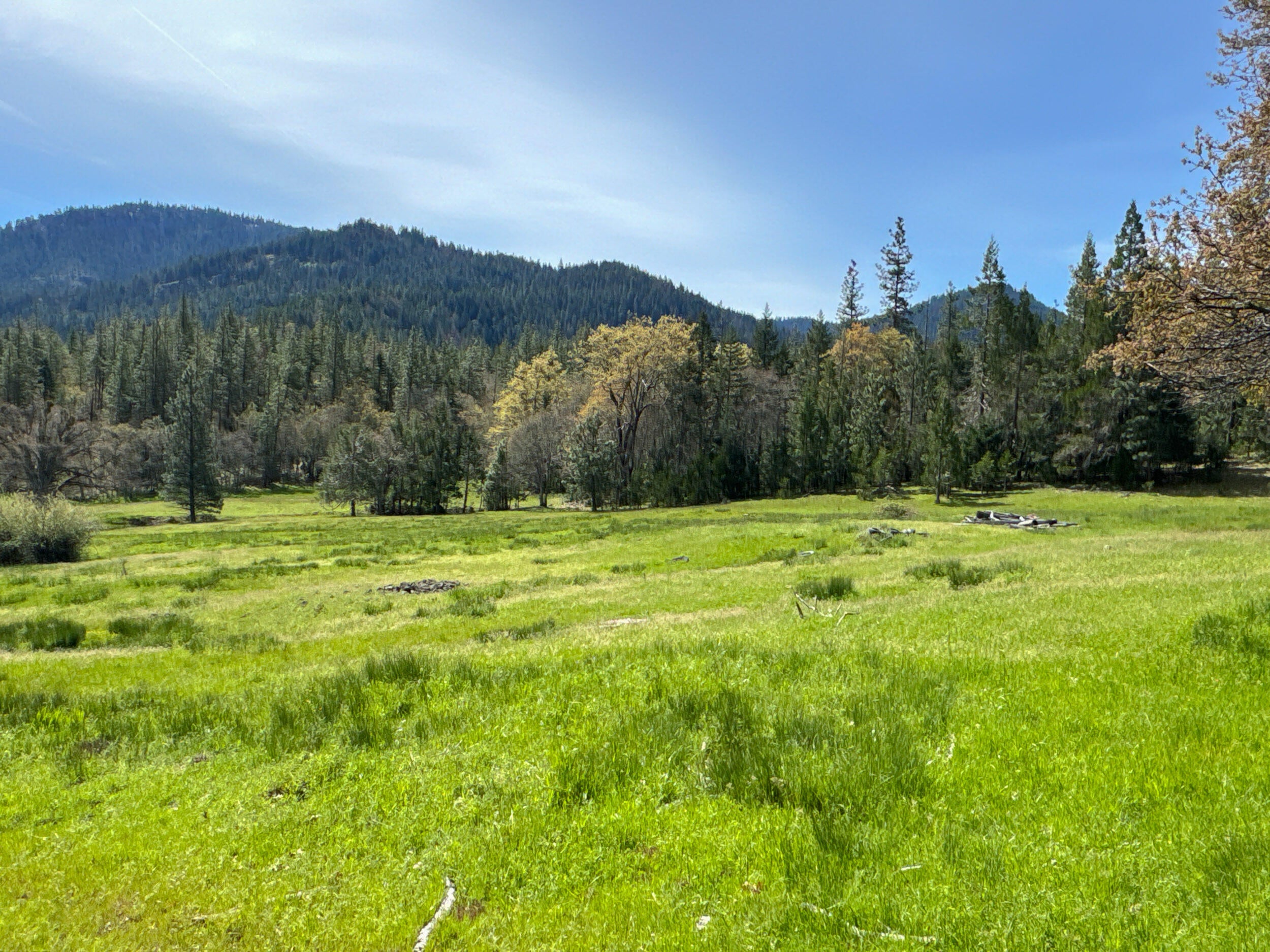 0 Buckhorn Springs Road Ashland, OR 97520 - Photo 5 of 39 Final (6)