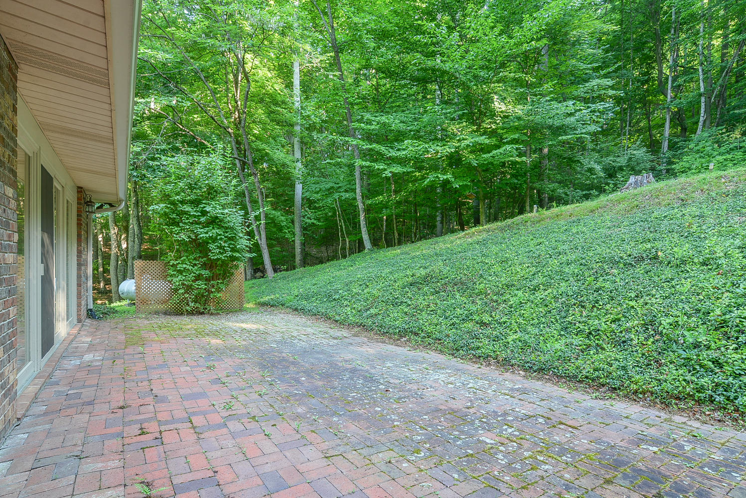 620 Montezuma Road Kingsport, TN 37664 - Photo 41 of 94 Perfect for fire pit