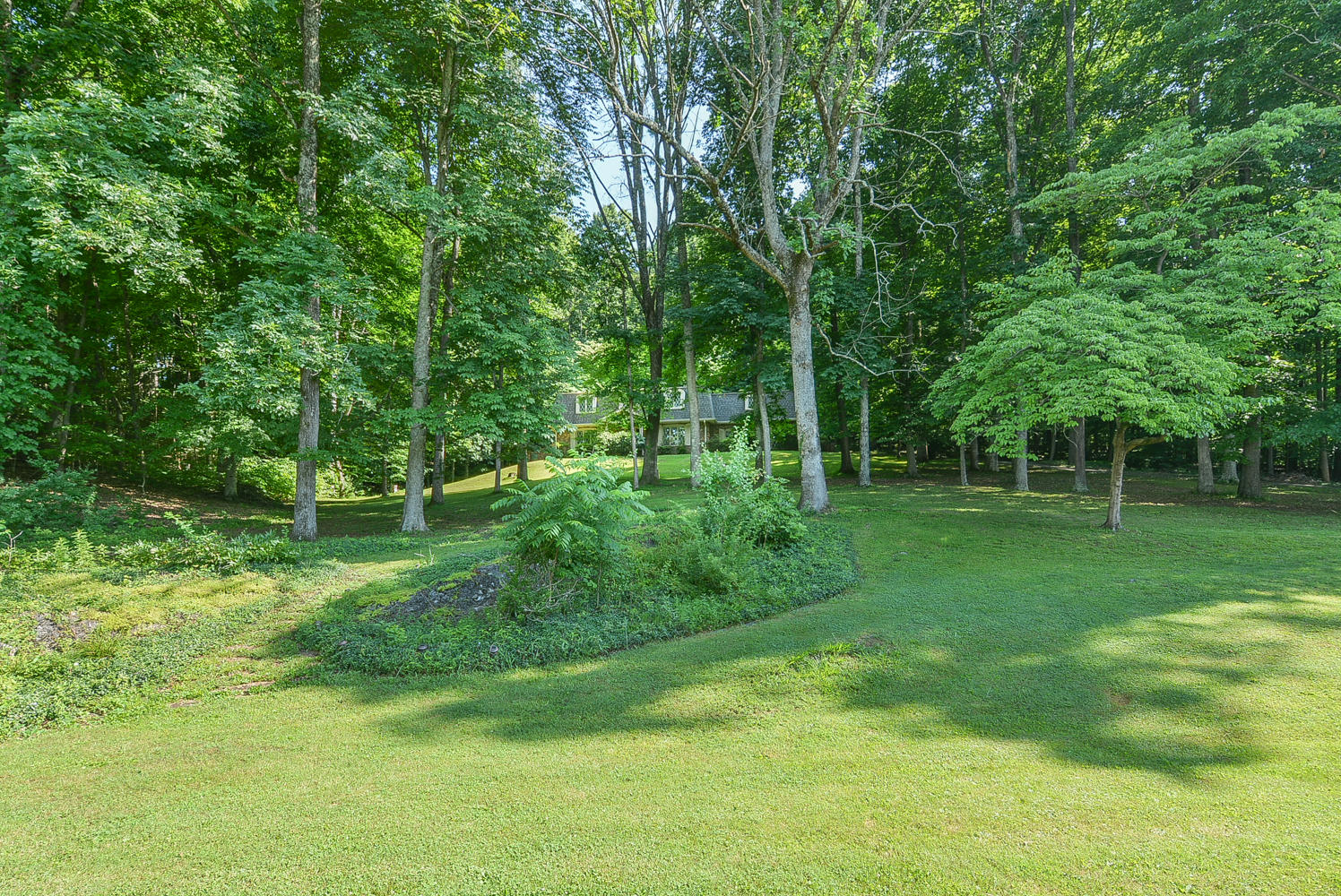 620 Montezuma Road Kingsport, TN 37664 - Photo 48 of 94 Secluded
