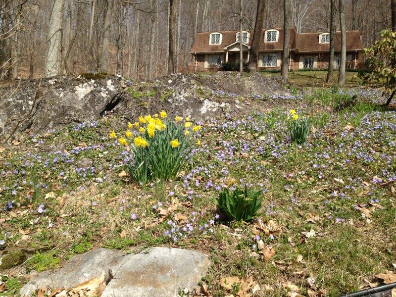 620 Montezuma Road Kingsport, TN 37664 - Photo 49 of 94 Spring time