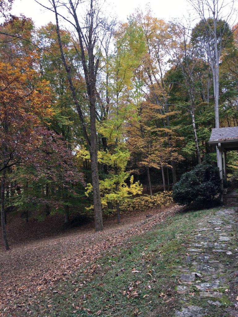 620 Montezuma Road Kingsport, TN 37664 - Photo 55 of 94 Fall at its best