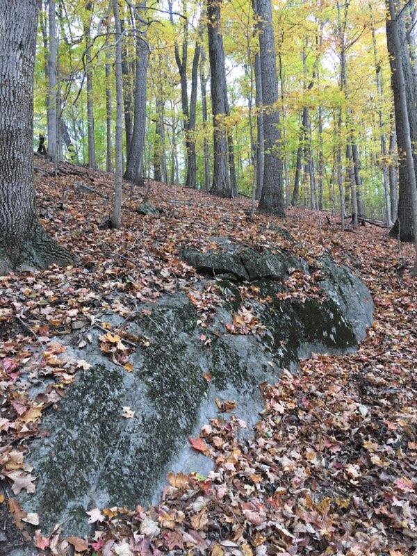 620 Montezuma Road Kingsport, TN 37664 - Photo 57 of 94 media-1593714504431-Jul_2_2020_1_54_PM