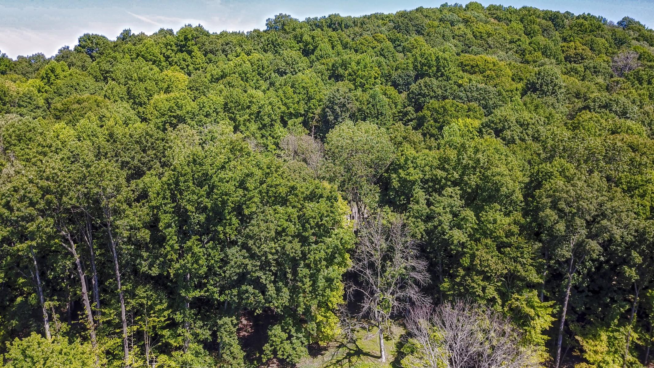 620 Montezuma Road Kingsport, TN 37664 - Photo 59 of 94 DJI_0303_MLS