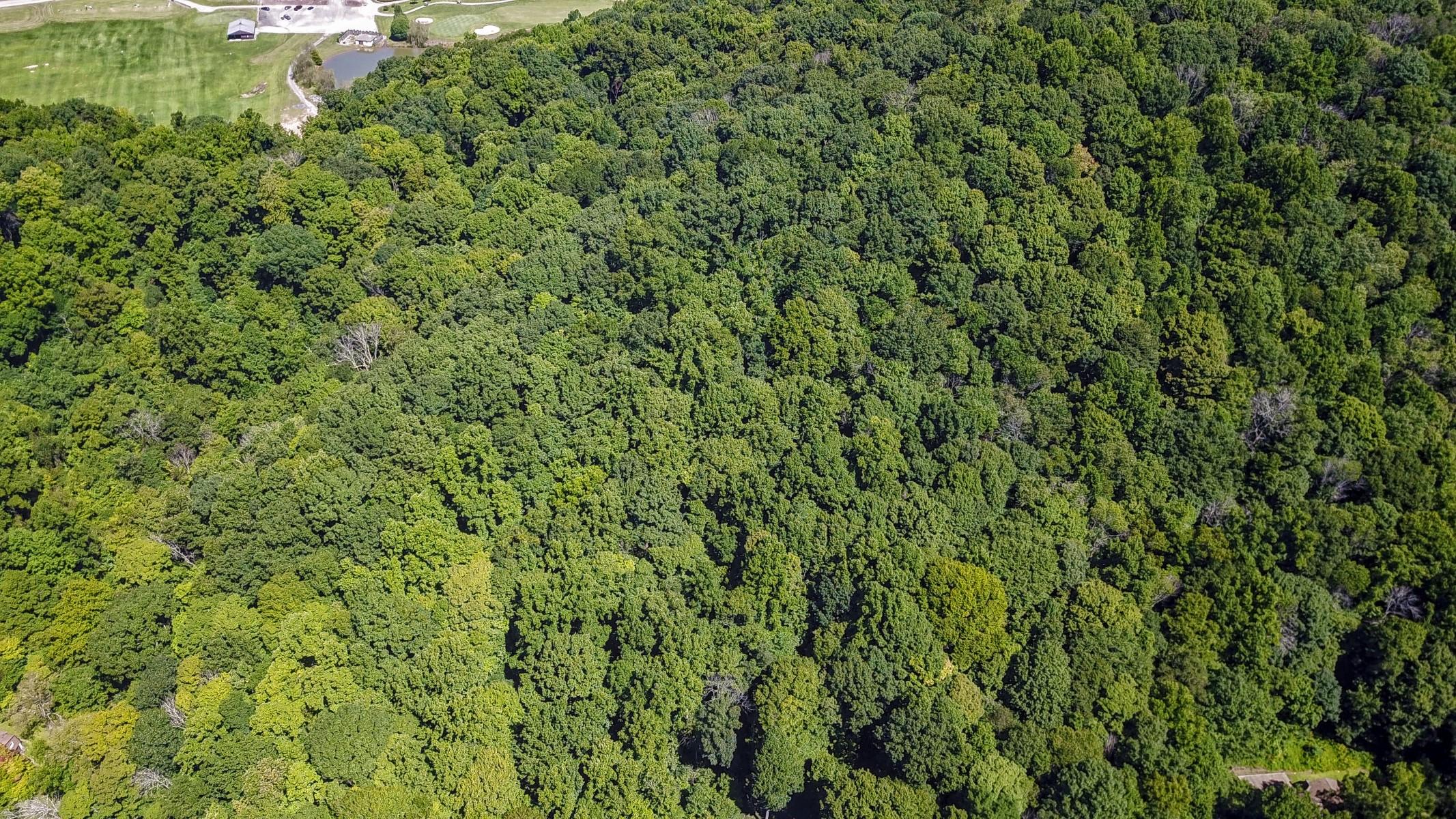 620 Montezuma Road Kingsport, TN 37664 - Photo 63 of 94 DJI_0273_MLS