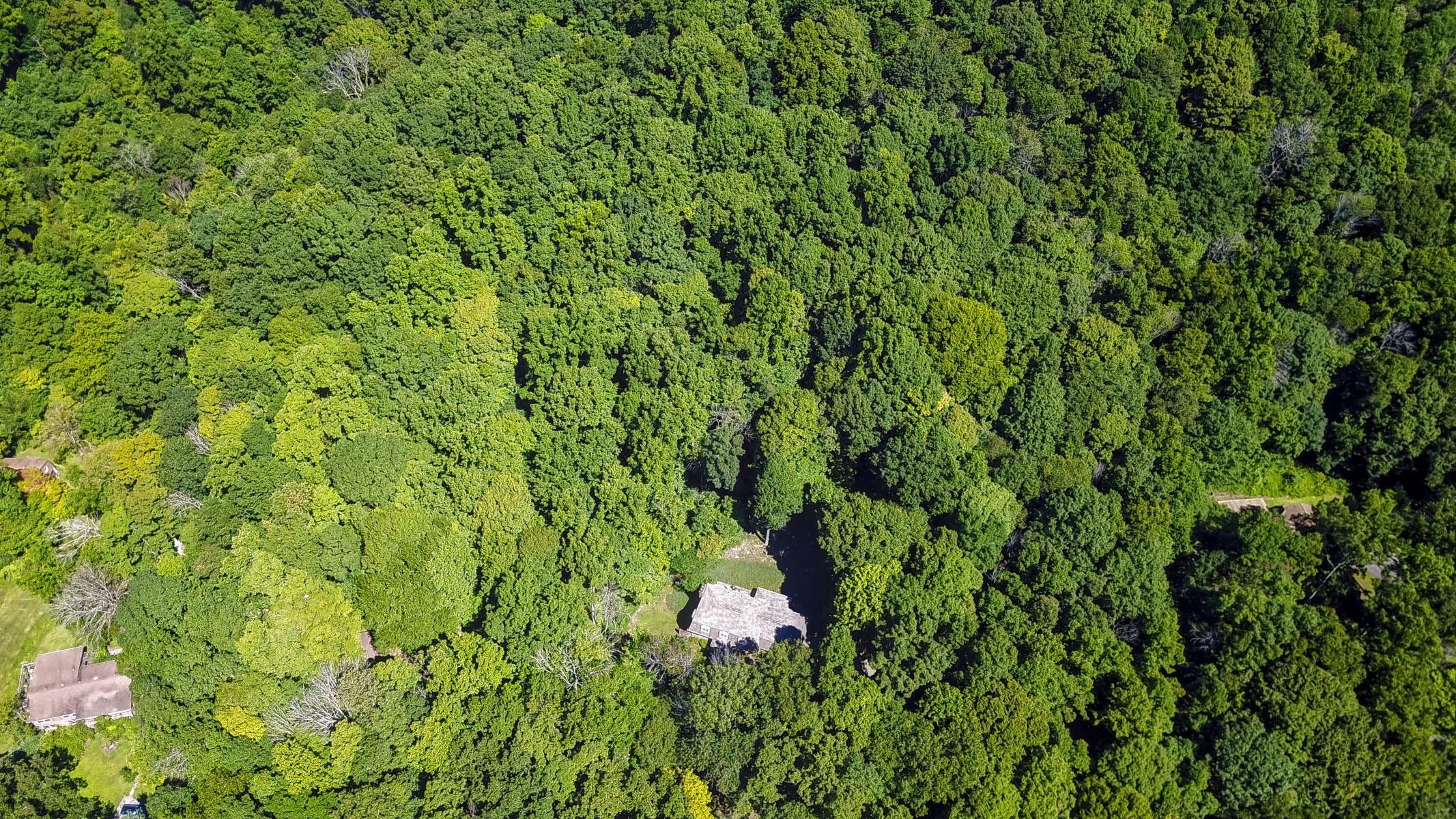 620 Montezuma Road Kingsport, TN 37664 - Photo 64 of 94 DJI_0268_MLS