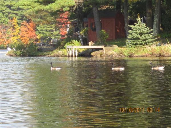 33 Pine Acres Road Spencer, MA 01562 - Photo 4 of 27 Gallery Image 4