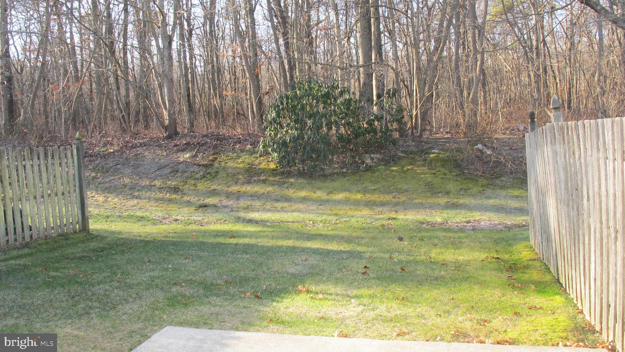 74 Kettlebrook Drive Mount Laurel, NJ 08054 - Photo 25 of 25 PREMIUM LOCATION Backs to Natural Setting