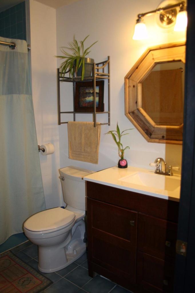 35 Chatham Lane Mashpee, MA 02649 - Photo 6 of 16 a bathroom with a sink toilet and mirror