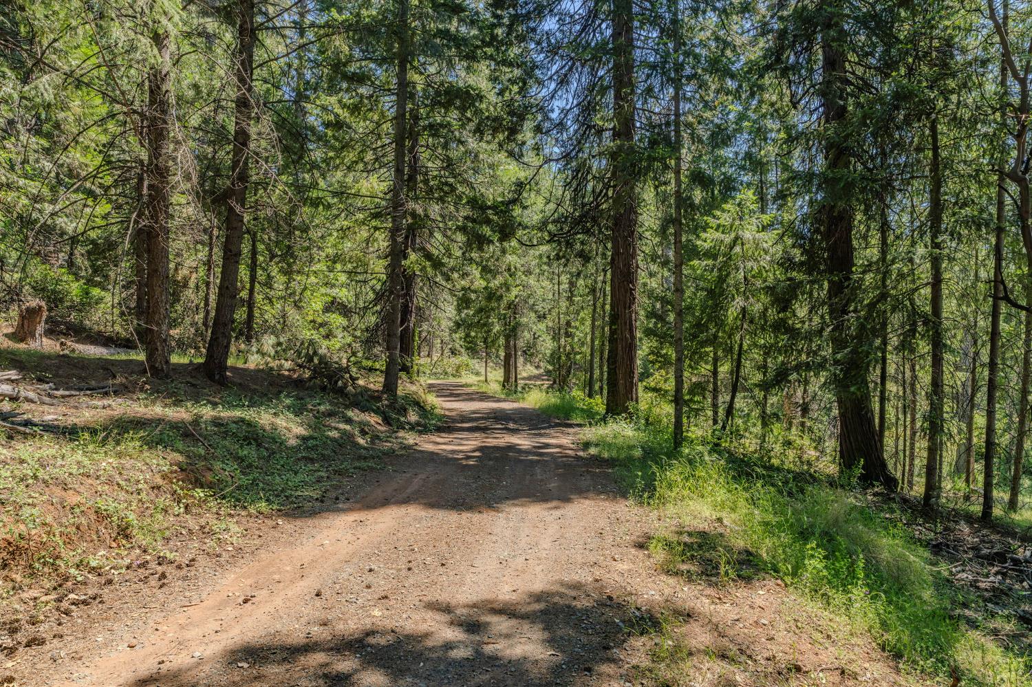 0 Schaefer Ranch Road Pioneer, CA 95666 - Photo 5 of 72