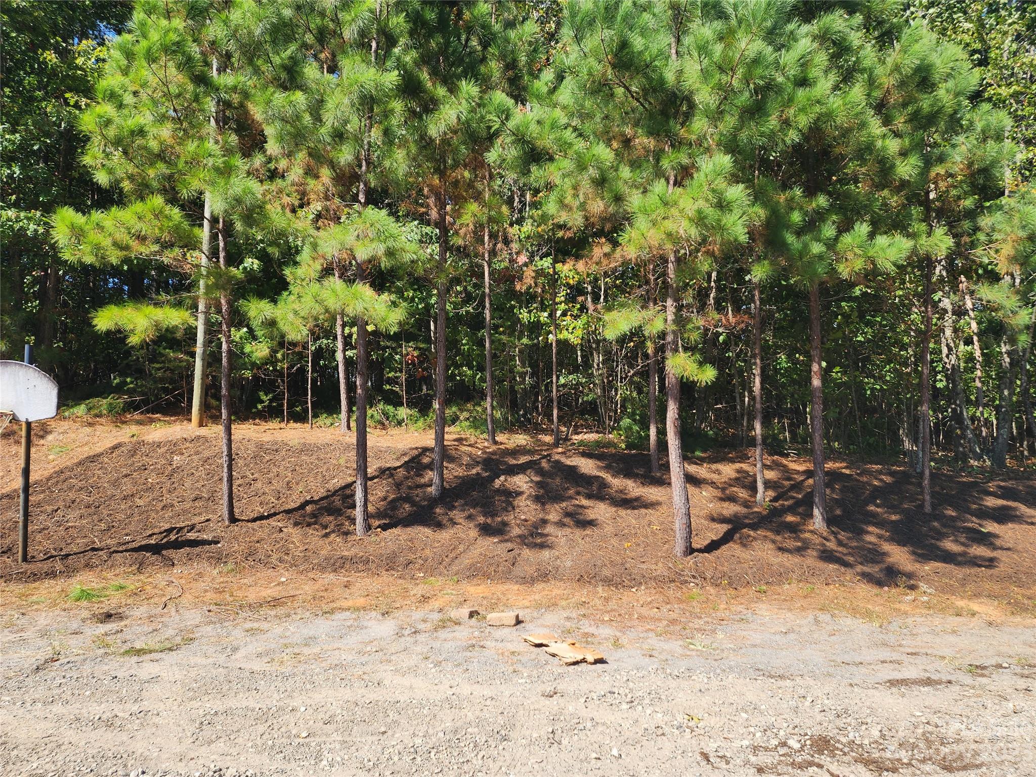 4658 Cindy Ridge Road Morganton, NC 28655 - Photo 7 of 30 Gallery Image 7
