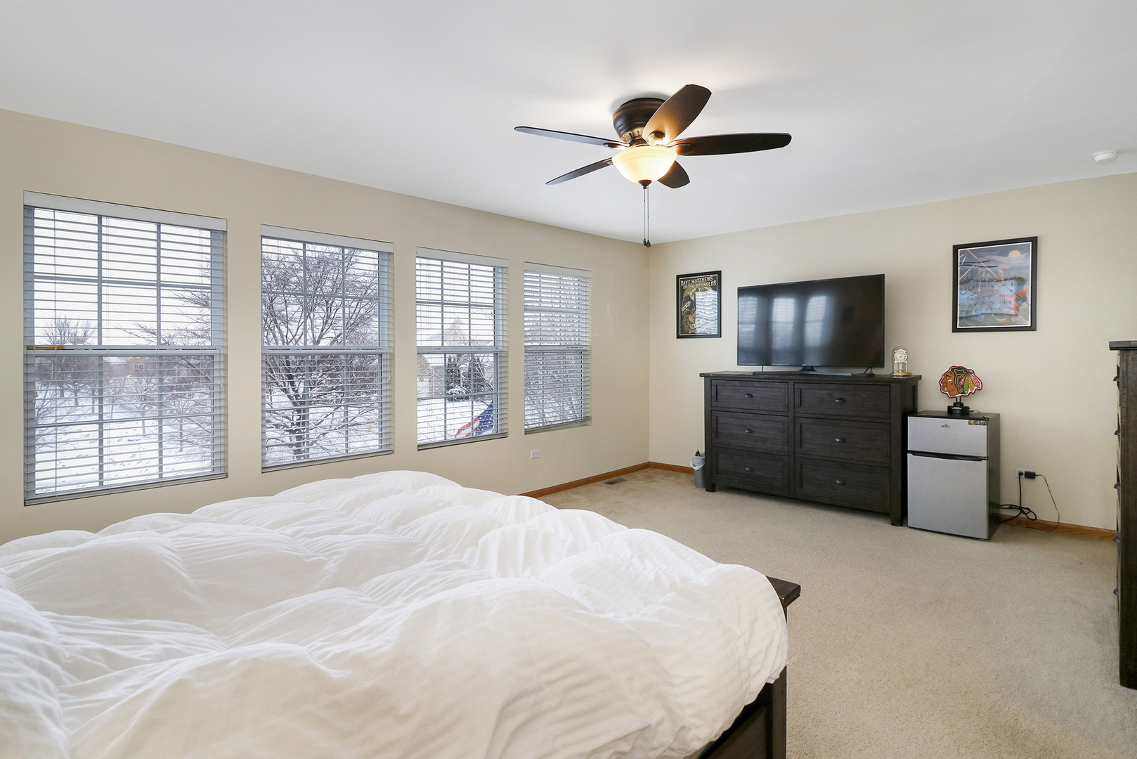 428 Cardinal Lane Bolingbrook, IL 60490 - Photo 33 of 36 a bedroom with a bed and a television