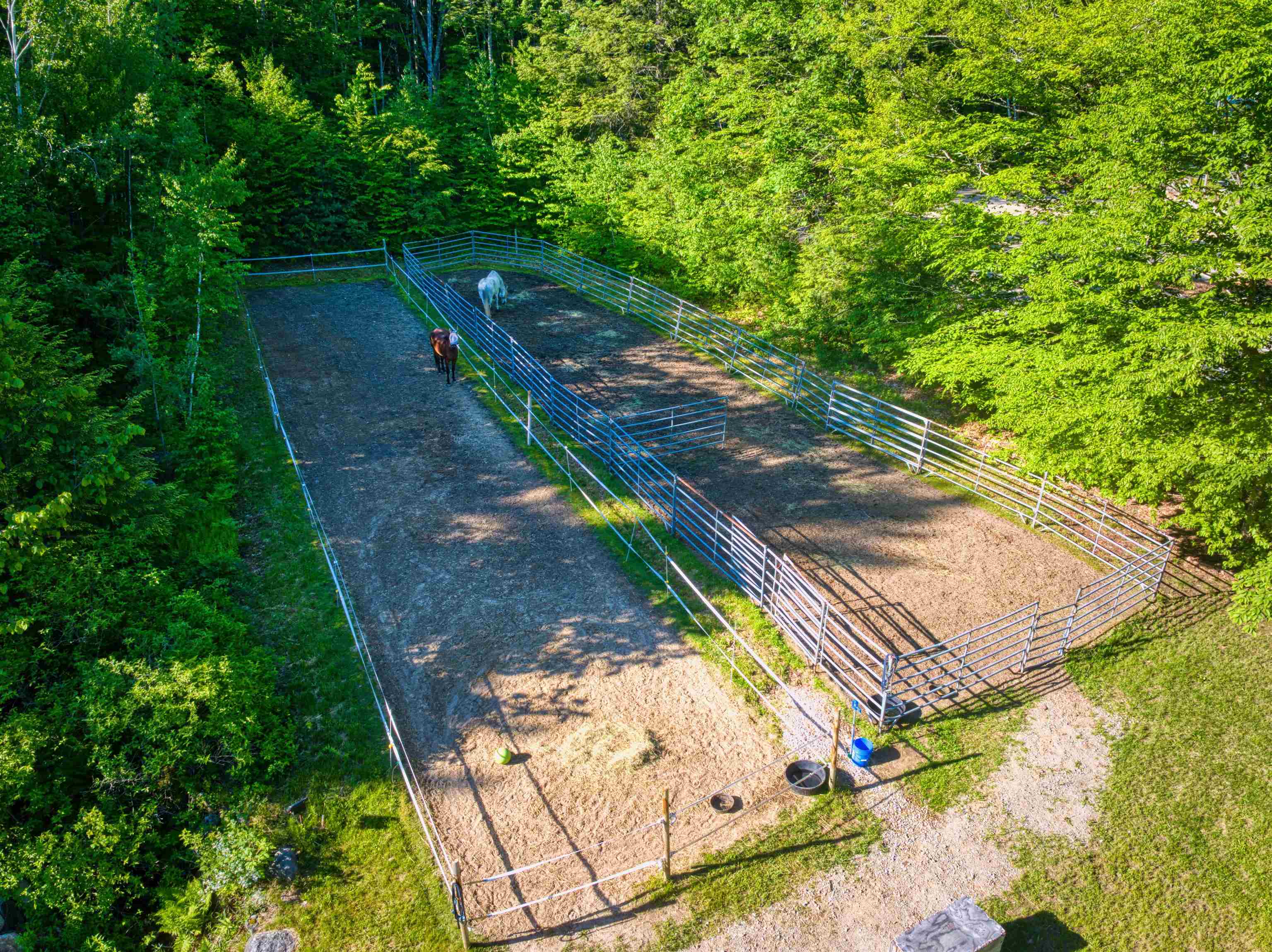 83 Waldron Hill Road Warner, NH 03278 - Photo 7 of 60
