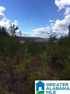 0 Henderson Lake Road, Unit 128 Munford, AL 36268 - Photo 2 of 31