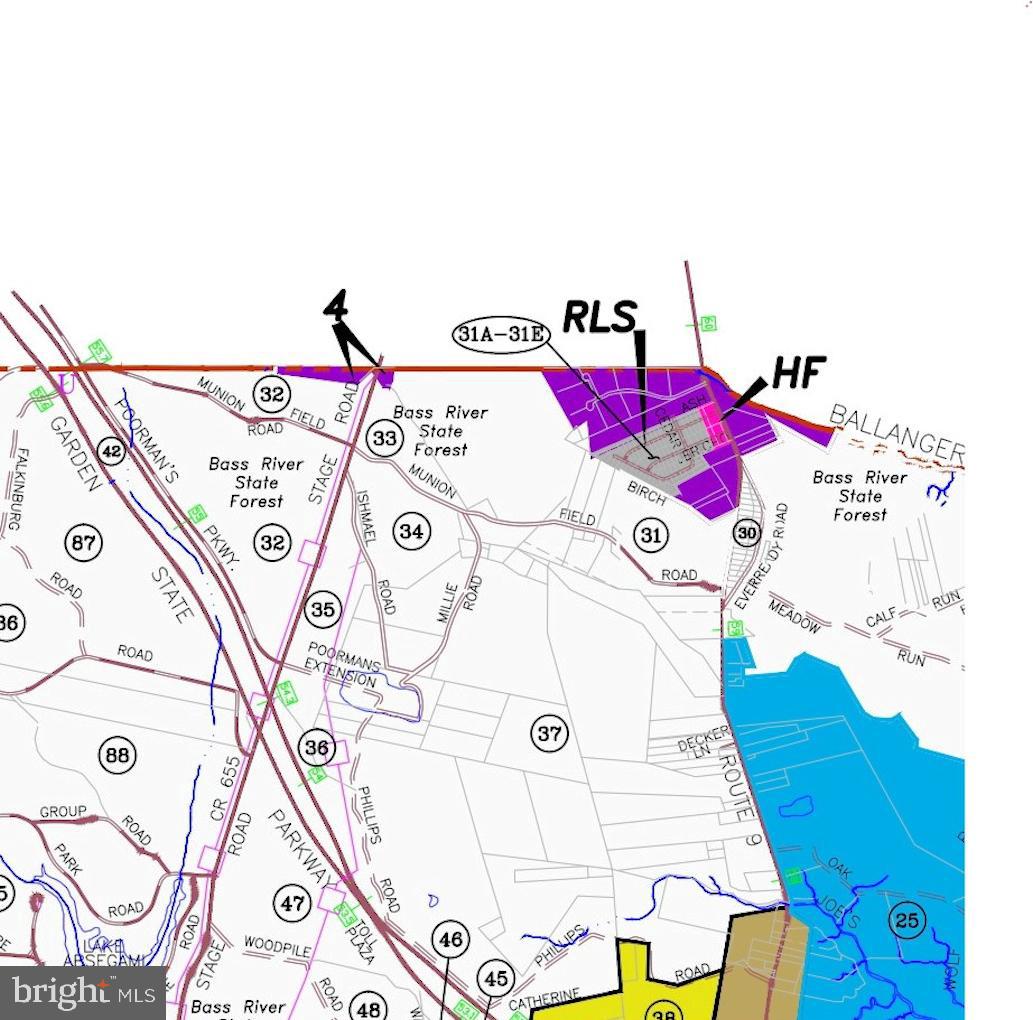 299 Ash Road Tuckerton, NJ 08087 - Photo 4 of 5 Gallery Image 4