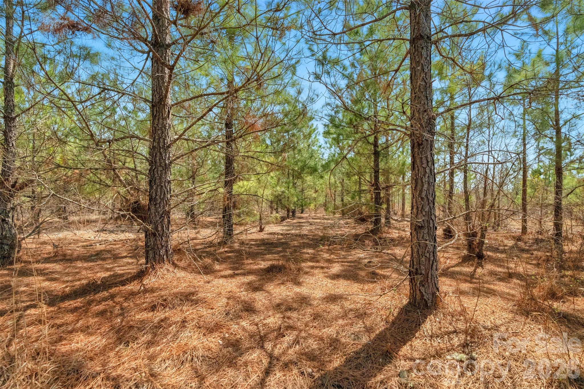 931 Charlie Johnson Road, Unit 2 Kershaw, SC 29067 - Photo 20 of 35